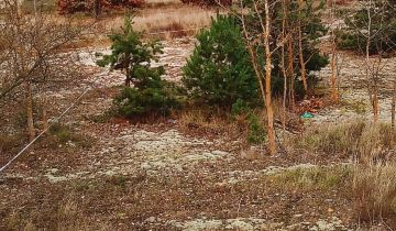 Działka budowlana Pałecznica, ?