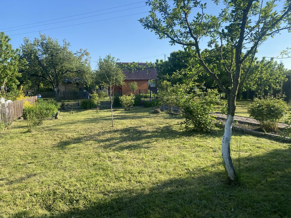 Działka rod Krotoszyn, ul. Raszkowska. Zdjęcie 4