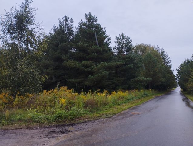 Działka budowlana Zaręby. Zdjęcie 5