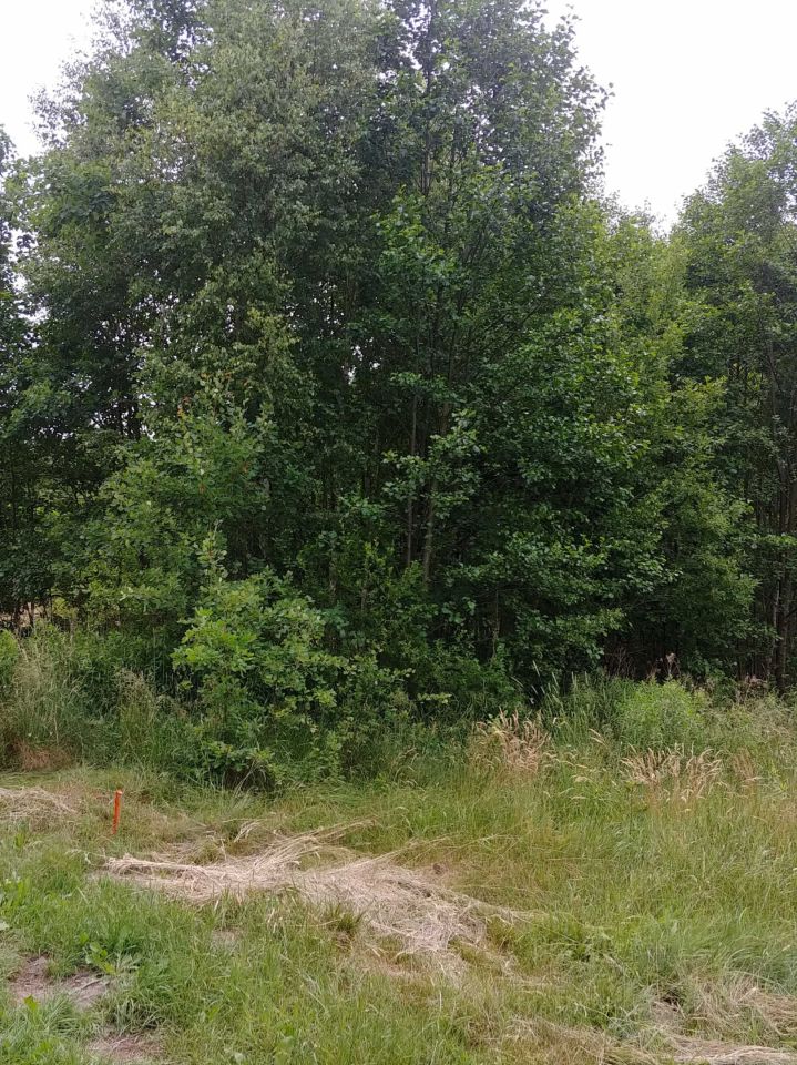 Działka rolno-budowlana Kąty Czernickie. Zdjęcie 4