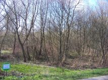 Działka rolna Kozły-Janowo. Zdjęcie 1