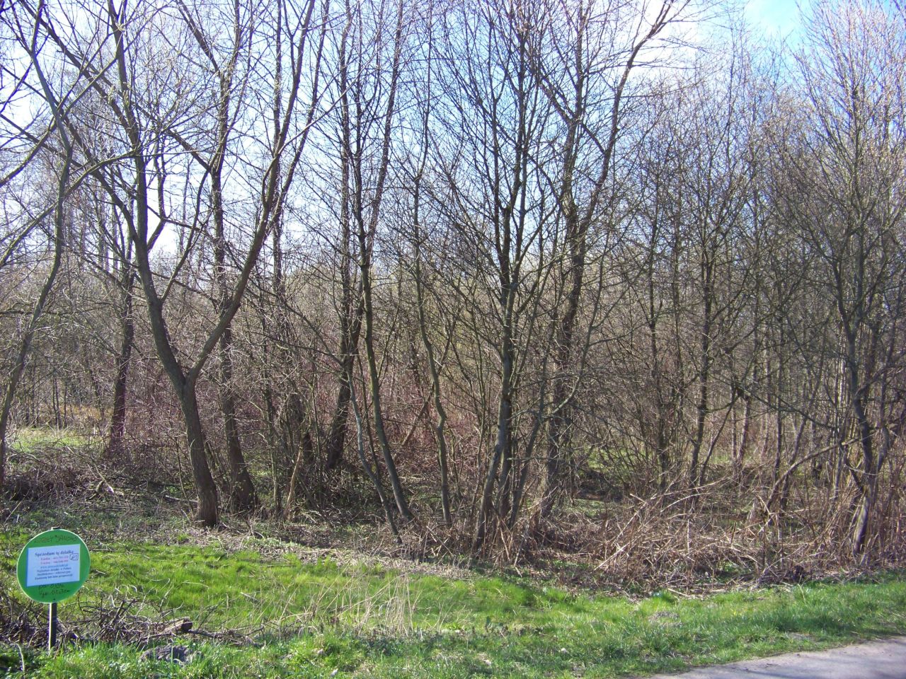 Działka rolna Kozły-Janowo. Zdjęcie 2