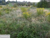 Działka budowlana Miechów, ul. Partyzantów. Zdjęcie 2