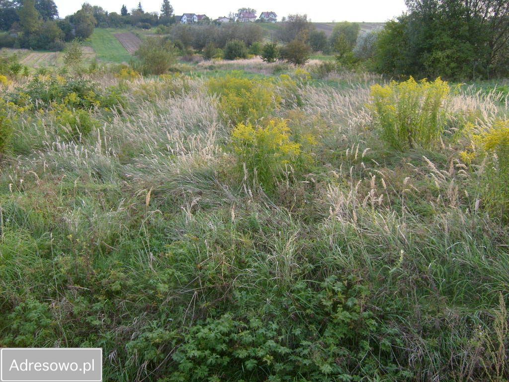 Działka budowlana Miechów, ul. Partyzantów. Zdjęcie 3