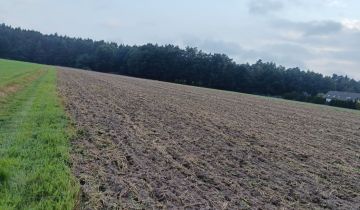 Działka budowlana Kobiór, ul. Zdzisława Ołtuszewskiego