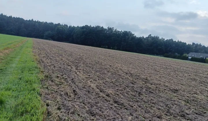 Działka budowlana Kobiór, ul. Zdzisława Ołtuszewskiego