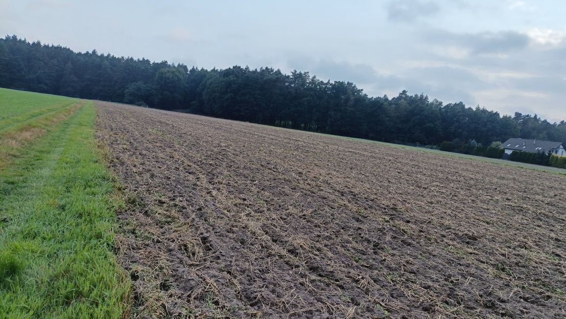 Działka budowlana Kobiór, ul. Zdzisława Ołtuszewskiego