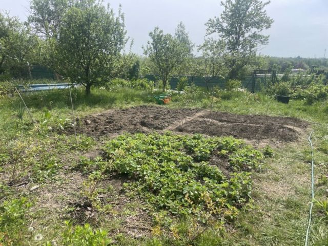 Działka rod Gdańsk, ul. Kampinoska. Zdjęcie 1