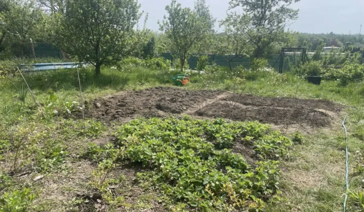 Działka rod Gdańsk, ul. Kampinoska