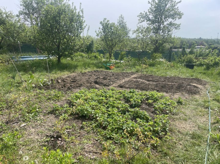 Działka rod Gdańsk, ul. Kampinoska. Zdjęcie 1