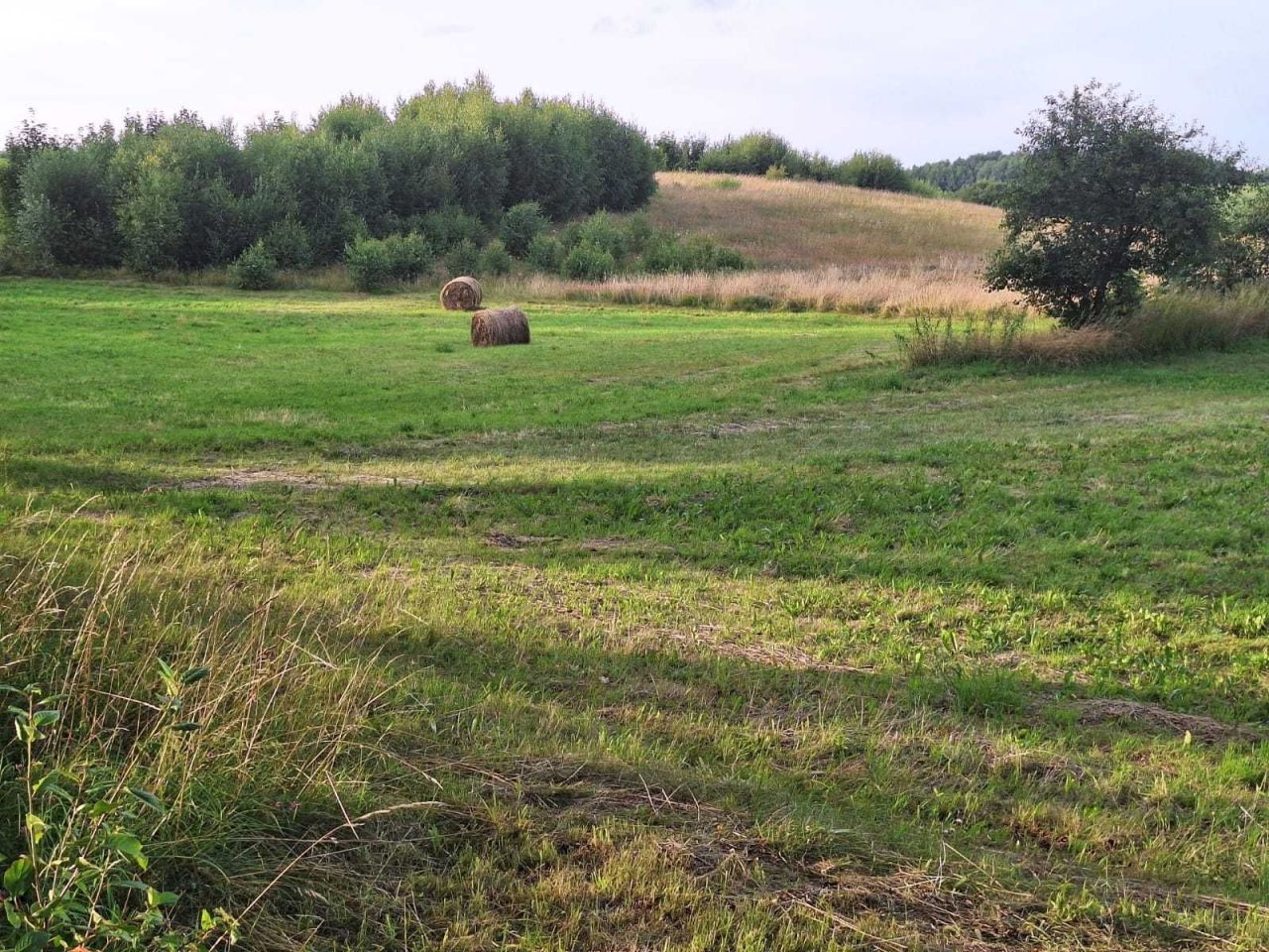dom wolnostojący, 3 pokoje Przystawy. Zdjęcie 8