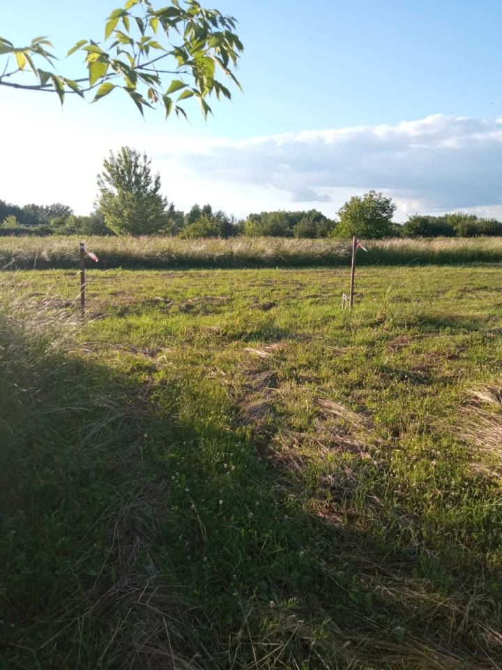 Działka budowlana Tarnobrzeg Dzików, ul. Żabia