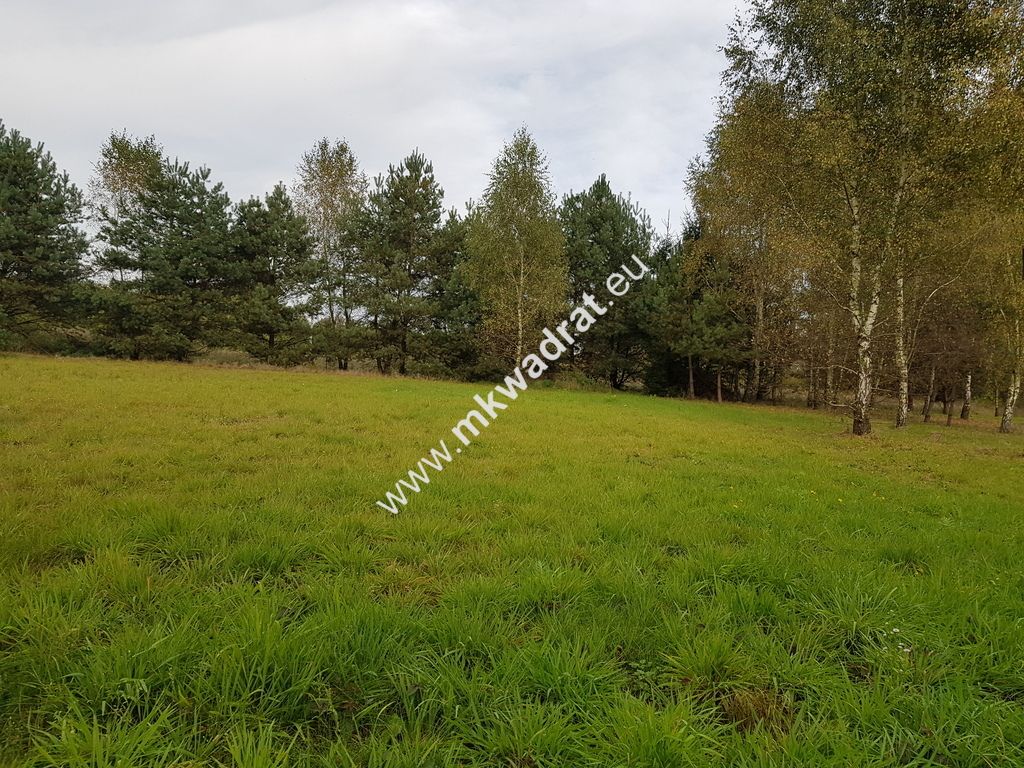 Działka budowlana Radziejowice-Parcel. Zdjęcie 5