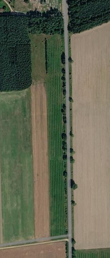 Działka rolna Czyże, Czyże. Zdjęcie 1