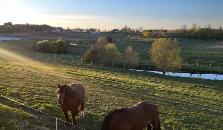 bliźniak, 4 pokoje Ełk, Osiedle na wzgorzu