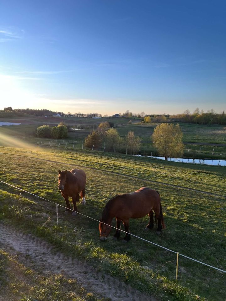 bliźniak, 4 pokoje Ełk, Osiedle na wzgorzu. Zdjęcie 8