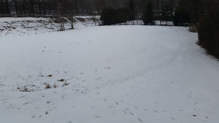 Działka rolna Mokre-Kolonia