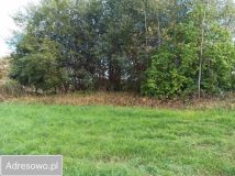 Działka rolno-budowlana Żerdziny. Zdjęcie 4