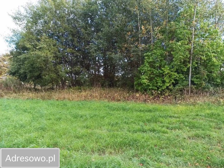 Działka rolno-budowlana Żerdziny. Zdjęcie 5