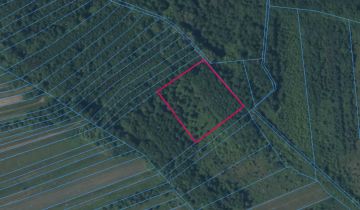 Działka rolna Zborów, ul. Akacjowa