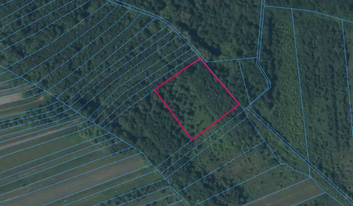 Działka rolna Zborów, ul. Akacjowa