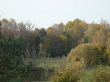 Działka rolna Uniemino. Zdjęcie 4