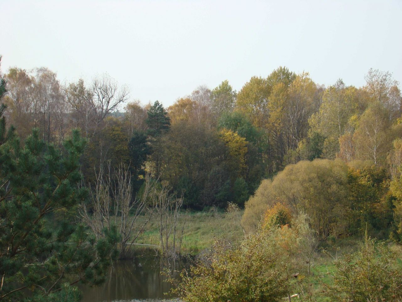 Działka rolna Uniemino. Zdjęcie 5