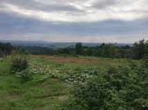 dom wolnostojący Biesiadki. Zdjęcie 4