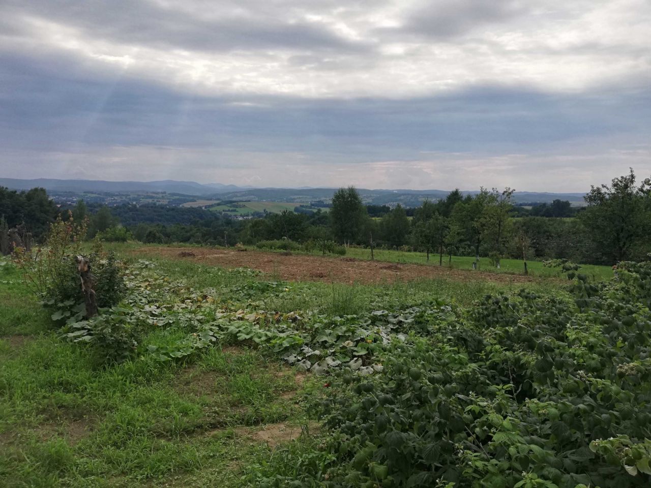 dom wolnostojący Biesiadki. Zdjęcie 5