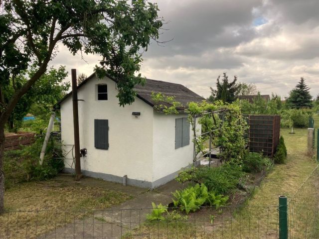 Działka rod Wrocław Psie Pole. Zdjęcie 1