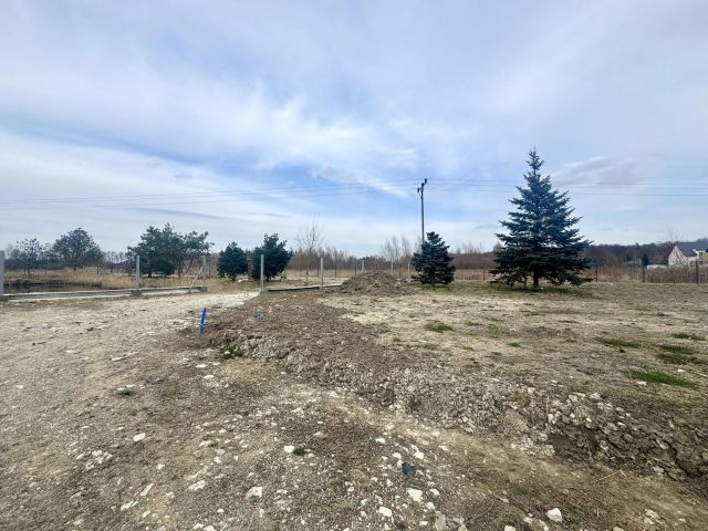 Działka rolno-budowlana Domaszczyn. Zdjęcie 4