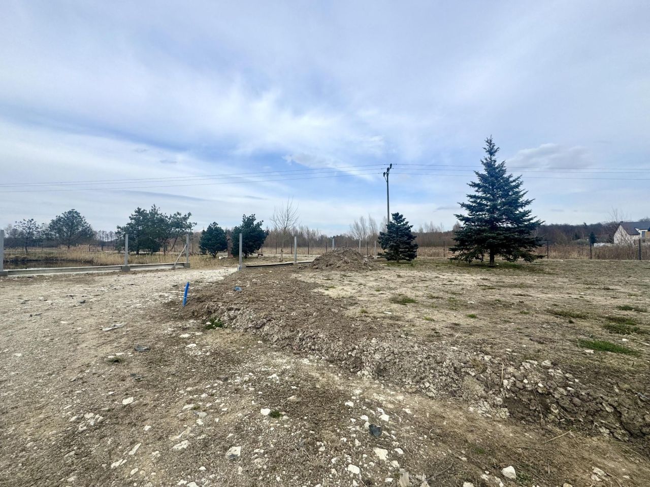 Działka rolno-budowlana Domaszczyn. Zdjęcie 4