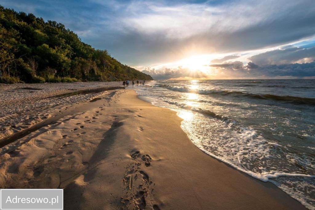 Lokal Jastrzębia Góra. Zdjęcie 8