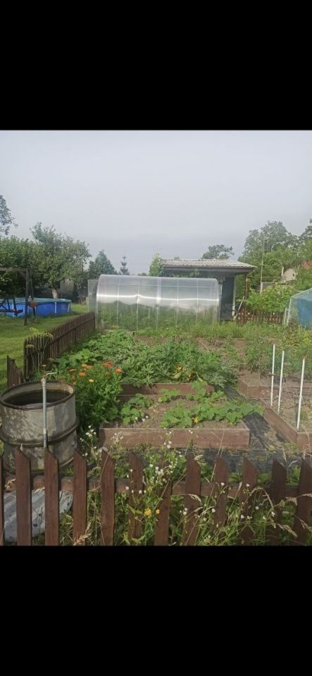 Działka rod Wronki. Zdjęcie 6