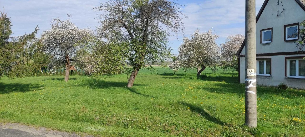 dom wolnostojący Raków. Zdjęcie 7