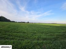 Działka rolno-budowlana Niedalino. Zdjęcie 4
