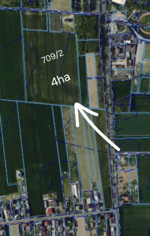 Działka rolna Pątnów. Zdjęcie 1