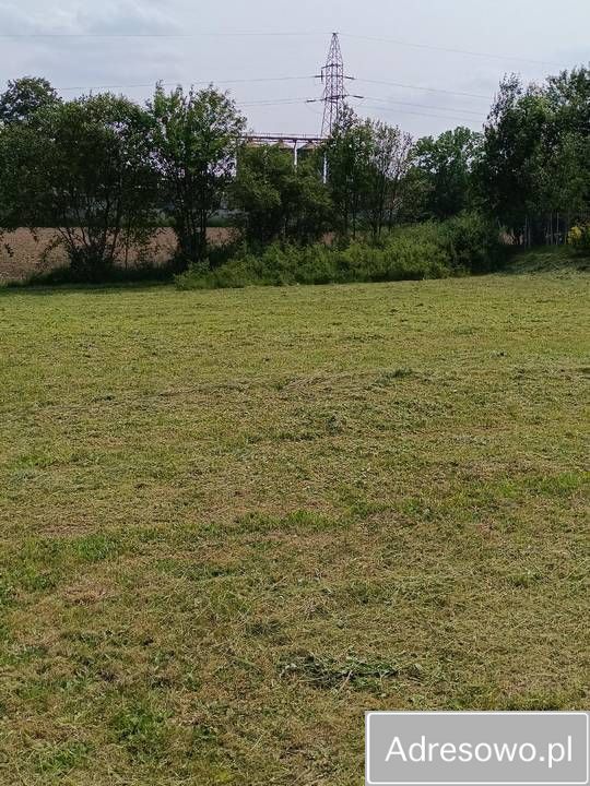 Działka budowlana Muntowo Wola Muntowska. Zdjęcie 4