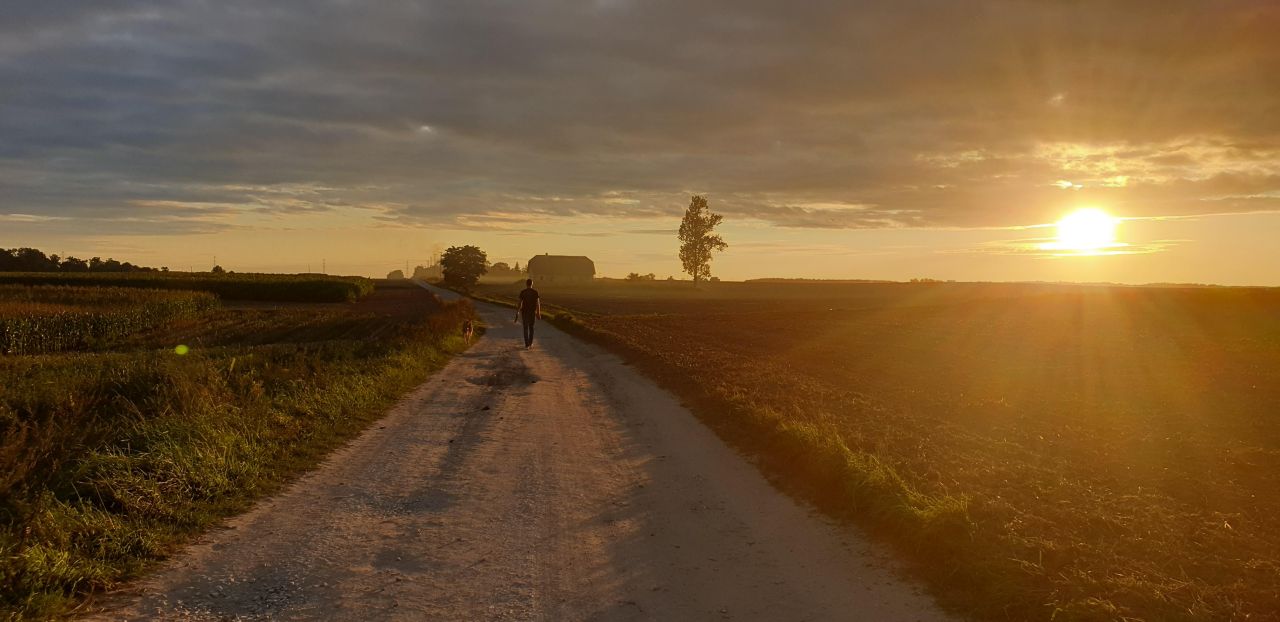 Działka budowlana Dębowo, ul. Broniewska. Zdjęcie 5