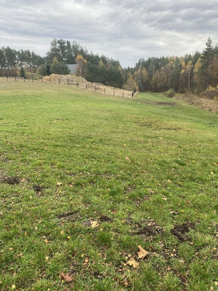 Działka budowlana Borek Kamienny. Zdjęcie 6