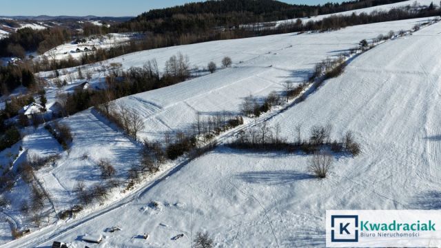 Działka rekreacyjna Górzanka. Zdjęcie 6