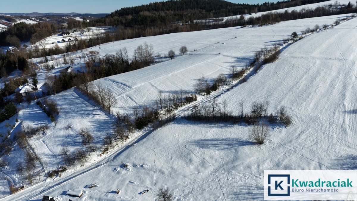 Działka rekreacyjna Górzanka. Zdjęcie 6