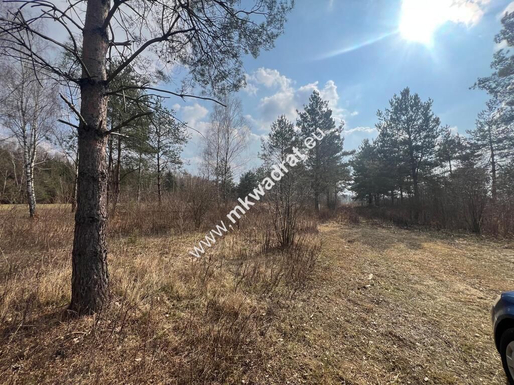 Działka Tłumy. Zdjęcie 3