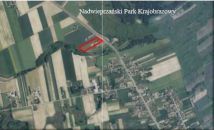 gospodarstwo Kajetanówka. Zdjęcie 3