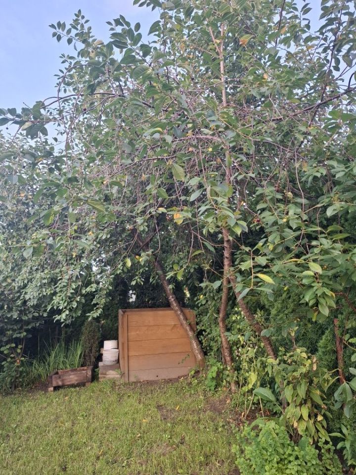 Działka rod Mrągowo. Zdjęcie 4