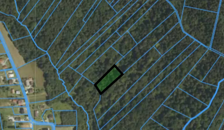 Działka leśna Karwodrza