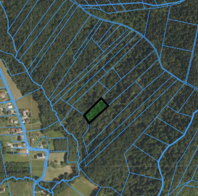 Działka leśna Karwodrza. Zdjęcie 1