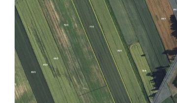 Działka rolna Majdan Krynicki