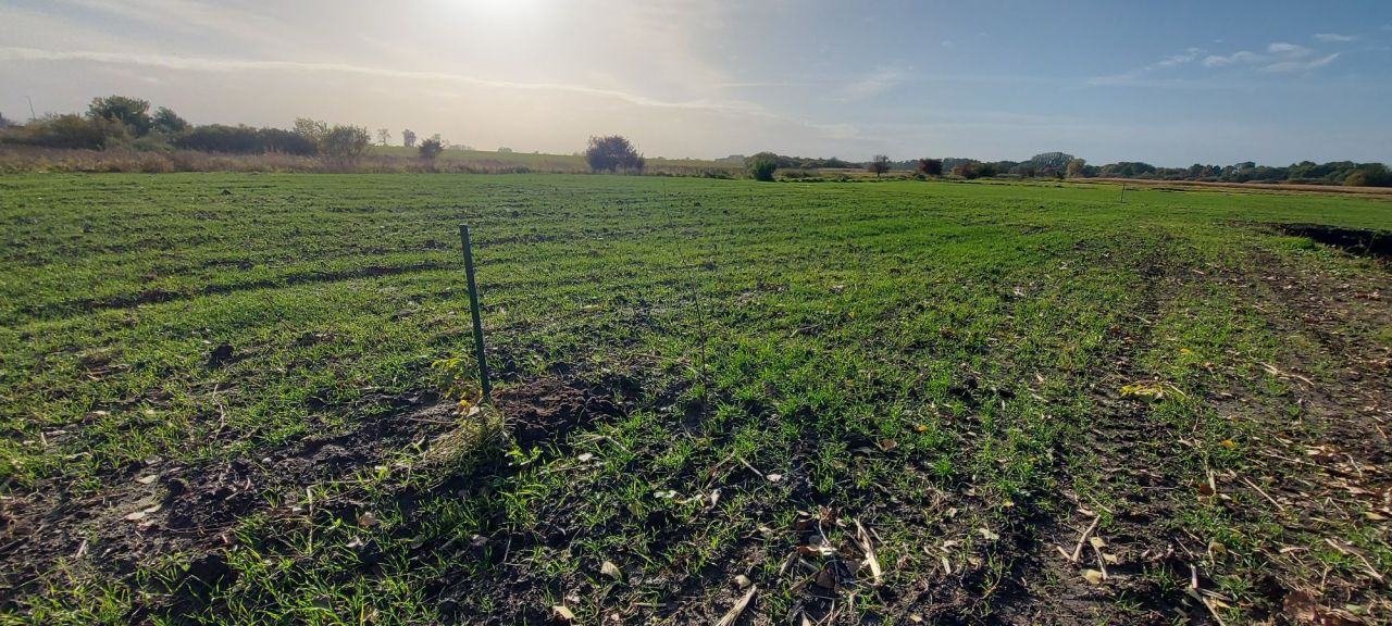 Działka rolna Mikołajew. Zdjęcie 5