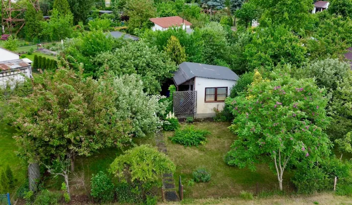Działka rod Toruń, ul. Marii Skłodowskiej-Curie